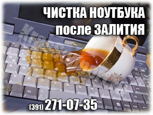 Чистка ноутбука после залития в Красноярске.
