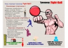 Боксерский тренажер для отработки ударов Fight Ball