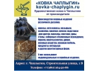 Навесы, авто навесы Чаплыгин